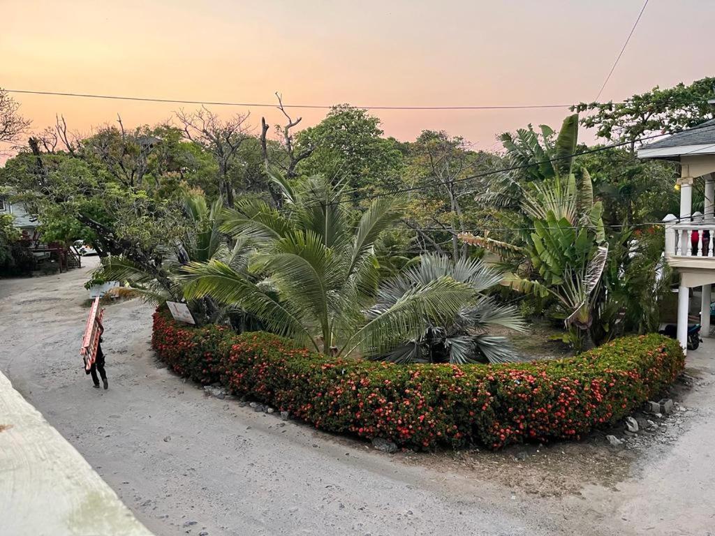 Fosters West Bay Resort Luaran gambar